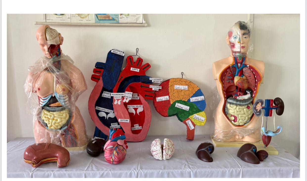 Anatomy Lab