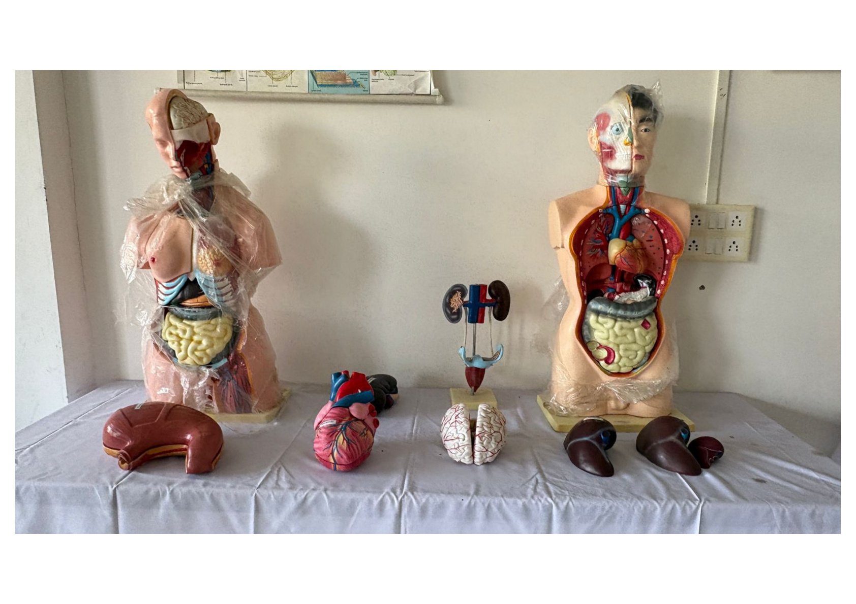 Pre-Clinical Science Lab
